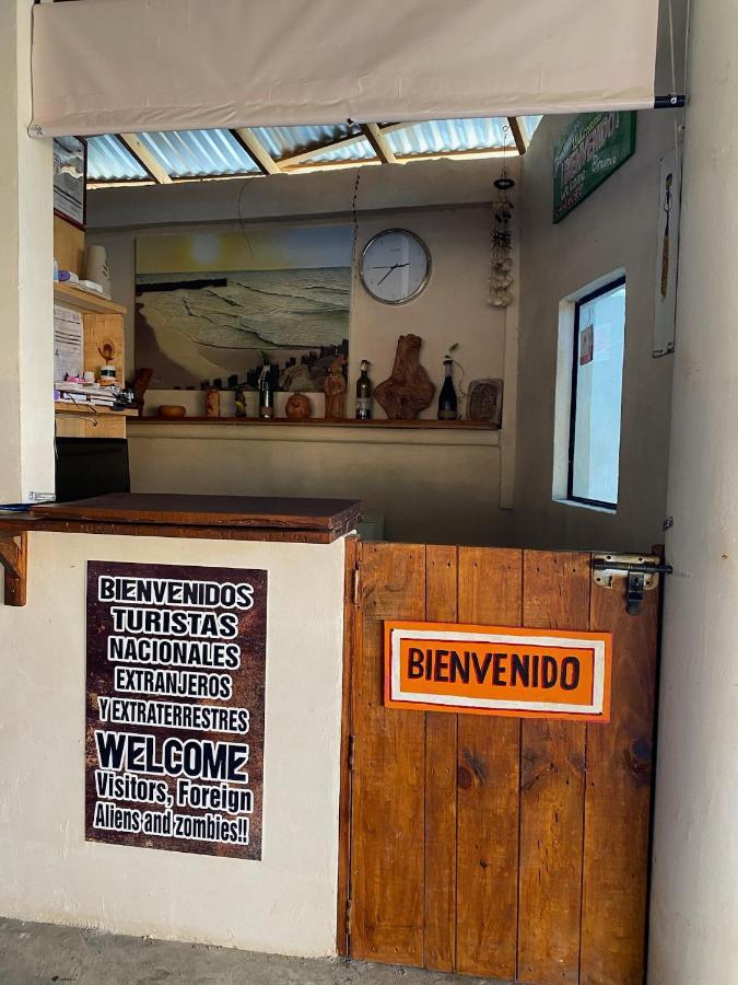 Cabanas Frida Chelem Extérieur photo